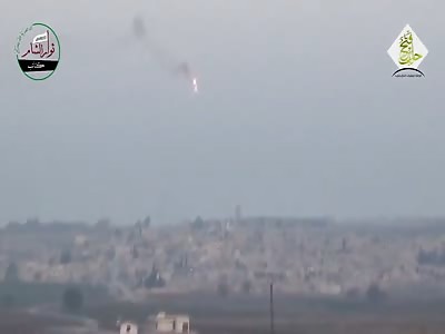 Catch Me If You Can!