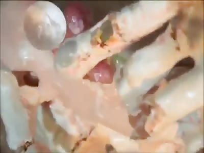 So much WTF its hard to explain.