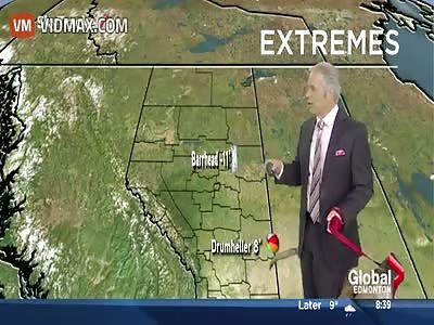 Adding a Humane Society segment during a weather report didn't turn out so well