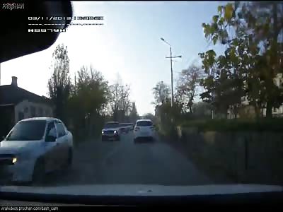 Smarter than your average dog......